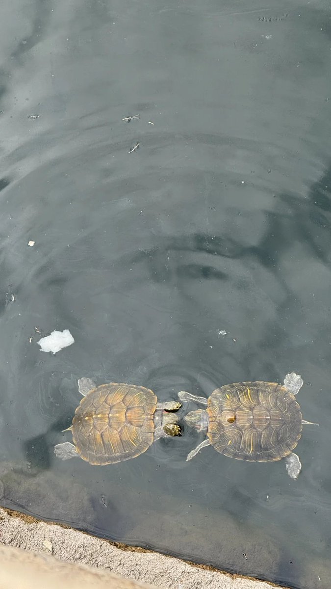 青空 (@mkqllax) on Twitter photo 