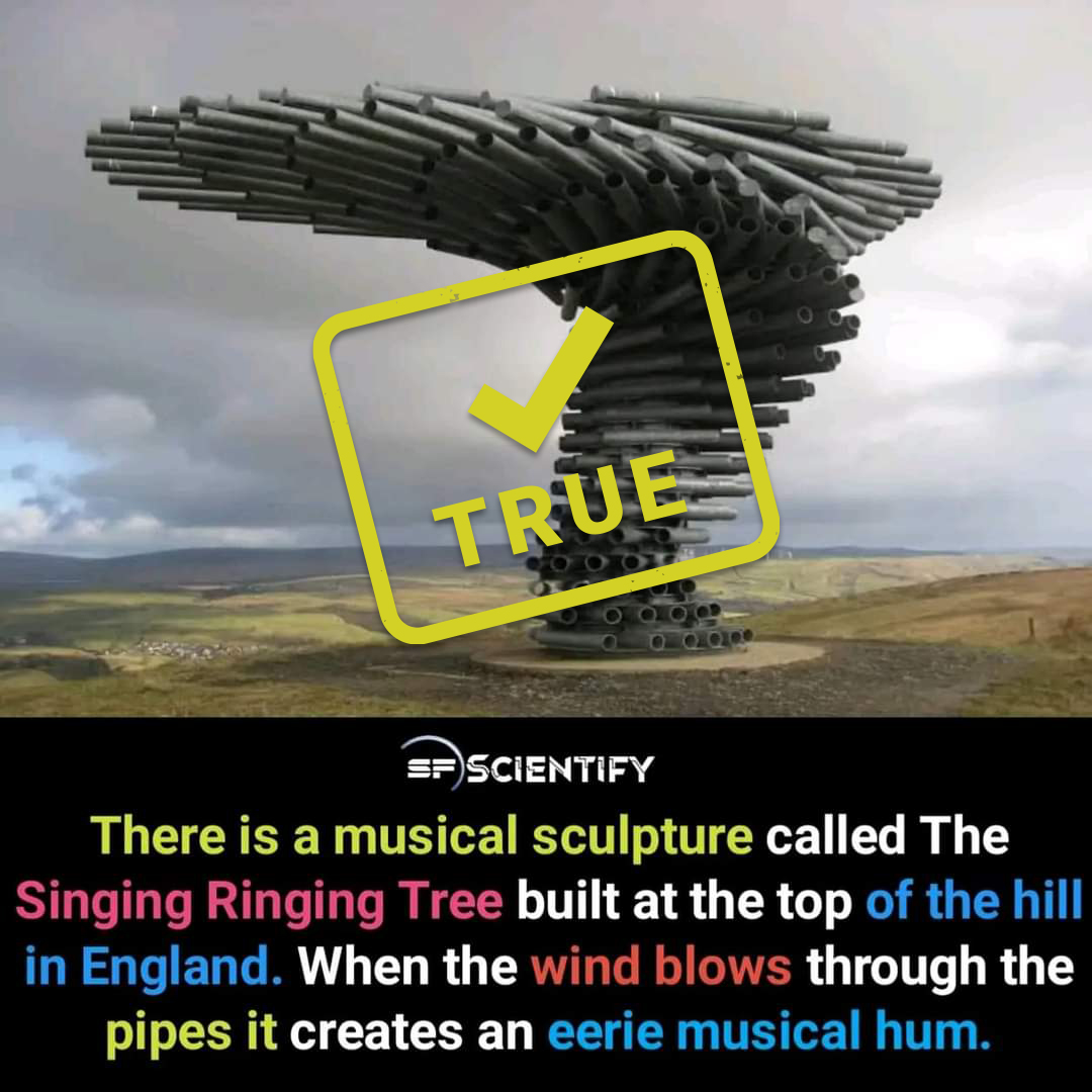 factscheckzone's tweet image. There is a musical sculpture called &quot;The Singing Ringing Tree&quot; built at the top of the hill in England. When the wind blows through the pipes it creates and eerie musical hum. - True!

#FactCheckZone #SingingRingingTree #ArtAndMusic