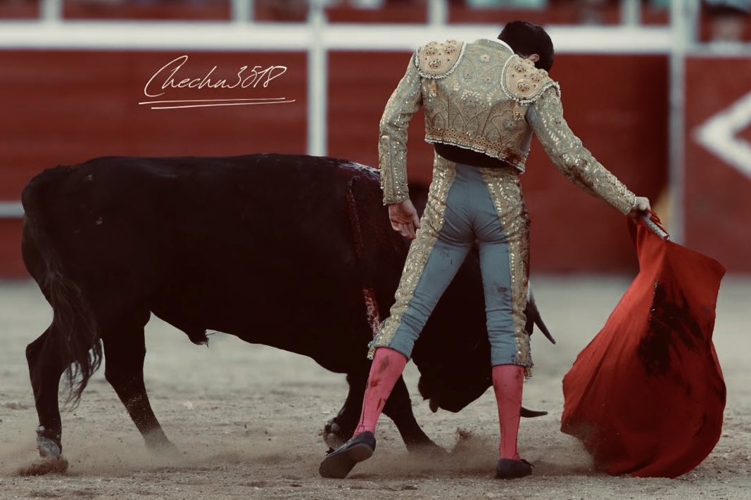 Cristian Cid tweet media