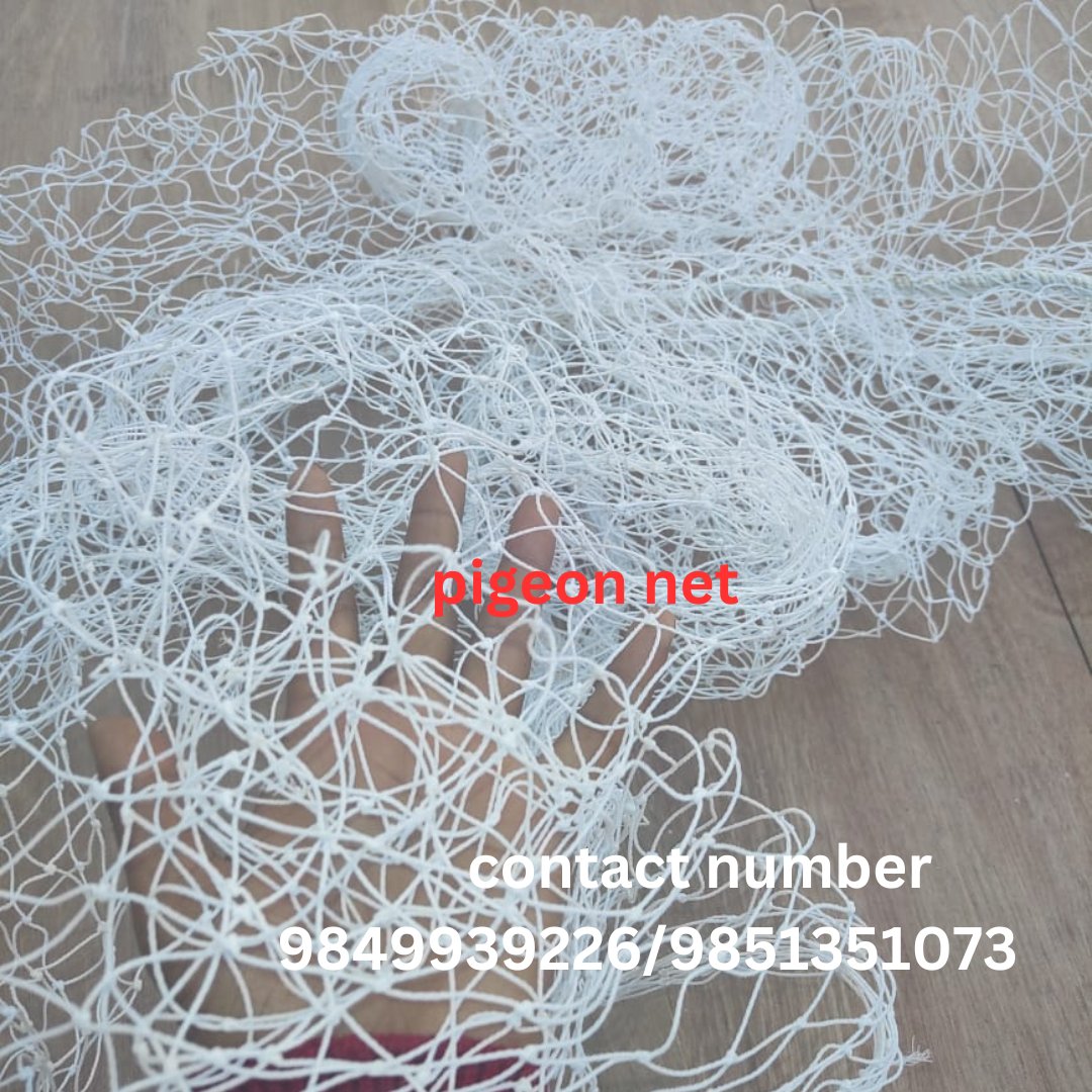 Best pigeon net installation service in kathmandu 
contact number : 9849939226/9851351073