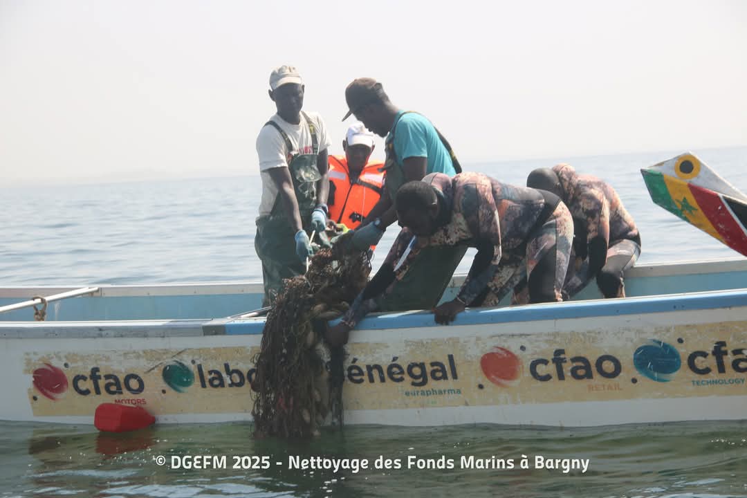 medzaproduction's tweet image. Journée de #Nettoyage des #Fonds #Marins à Bargny 
Une Initiative de la Direction de la Gestion et de l&apos;Exploitation des Fonds Marins
La Direction de la Gestion et de l&apos;Exploitation des Fonds Marins a lancé une initiative innovante et essentielle
@PechesOceansCAN
#kebetu
@ONU_fr