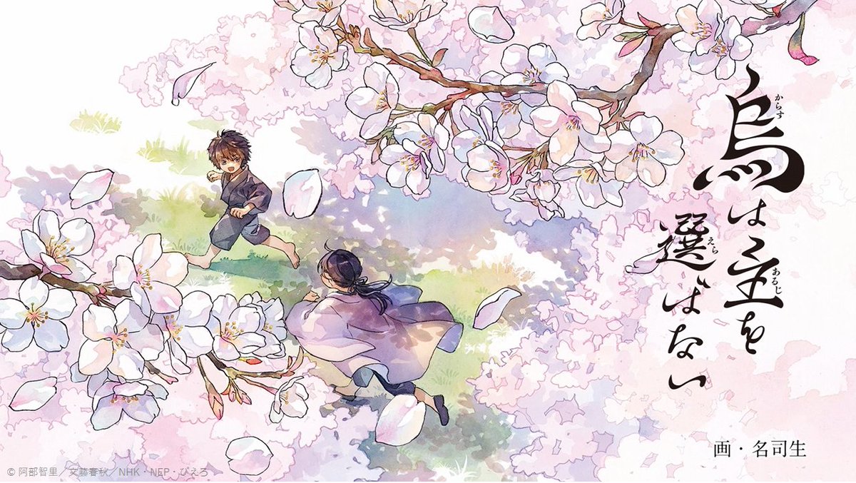 烏は主を選ばない エンドカード 豪華BOX入りポストカードセット 名司生さんによるTVアニメ『烏は主を選ばない』エンドカードが豪華BOX