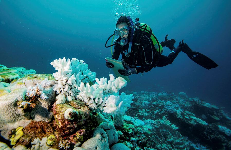 aims_gov_au's tweet photo. Local coral connections at the Scott Reefs help boost its resilience following bleaching and storms. New research led by @aims_gov_au's @GrimaldiCam
Read more > https://t.co/w76J9Kgmr5
@uwanews @uwaoceans @CalFaubel @JamesPGilmour
#CoralReefAlliance #MarineScience #ScottReef https://t.co/nMghFt2pGJ