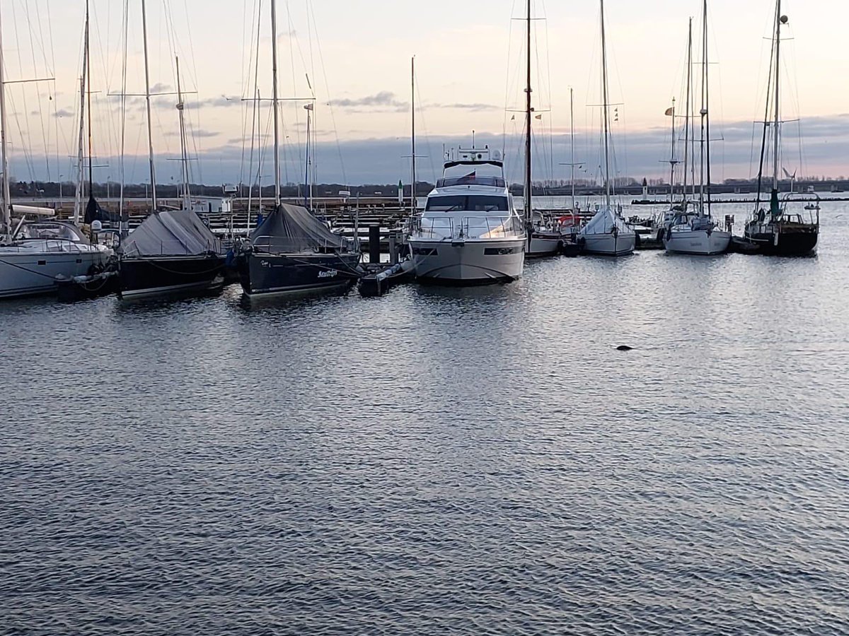 SeaTrips_HST's tweet photo. #seatrips #Mitsegeln ab #Stralsund rund #Rügen oder nach #Hiddensee #Usedom #Charter #Urlaub #Ferien #Reisen #Sunset #Segeln #travel #reiselust #Ostsee #Wassersport 
Termine sind zu finden auf der Homepage https://t.co/z7xprEuUdC https://t.co/dEPONyRi0y