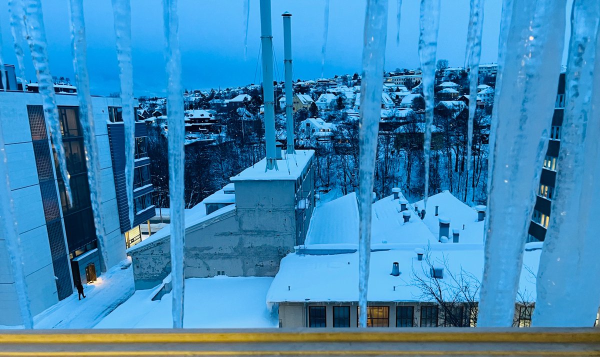 हिउॅंका सूईराहरु🥶
-13 deg C outside (feels like -19 with slight wind), view from my old office.
#DeepWinter #WinterWonderland #TrondheimVinter #NorwayWinter