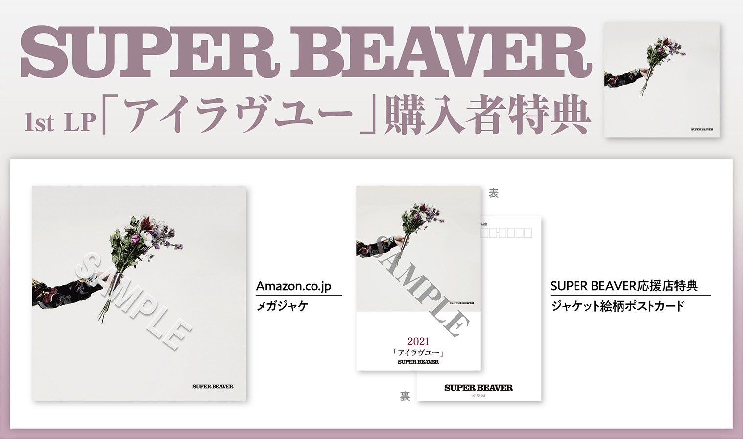 SUPER BEAVER on X: 
