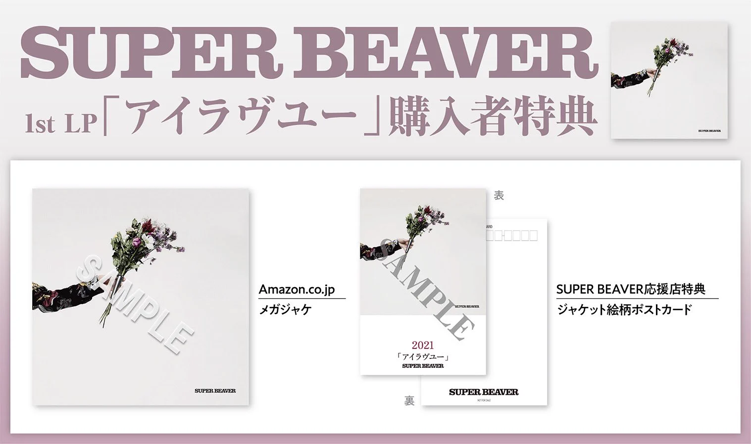 SUPER BEAVER on X: 