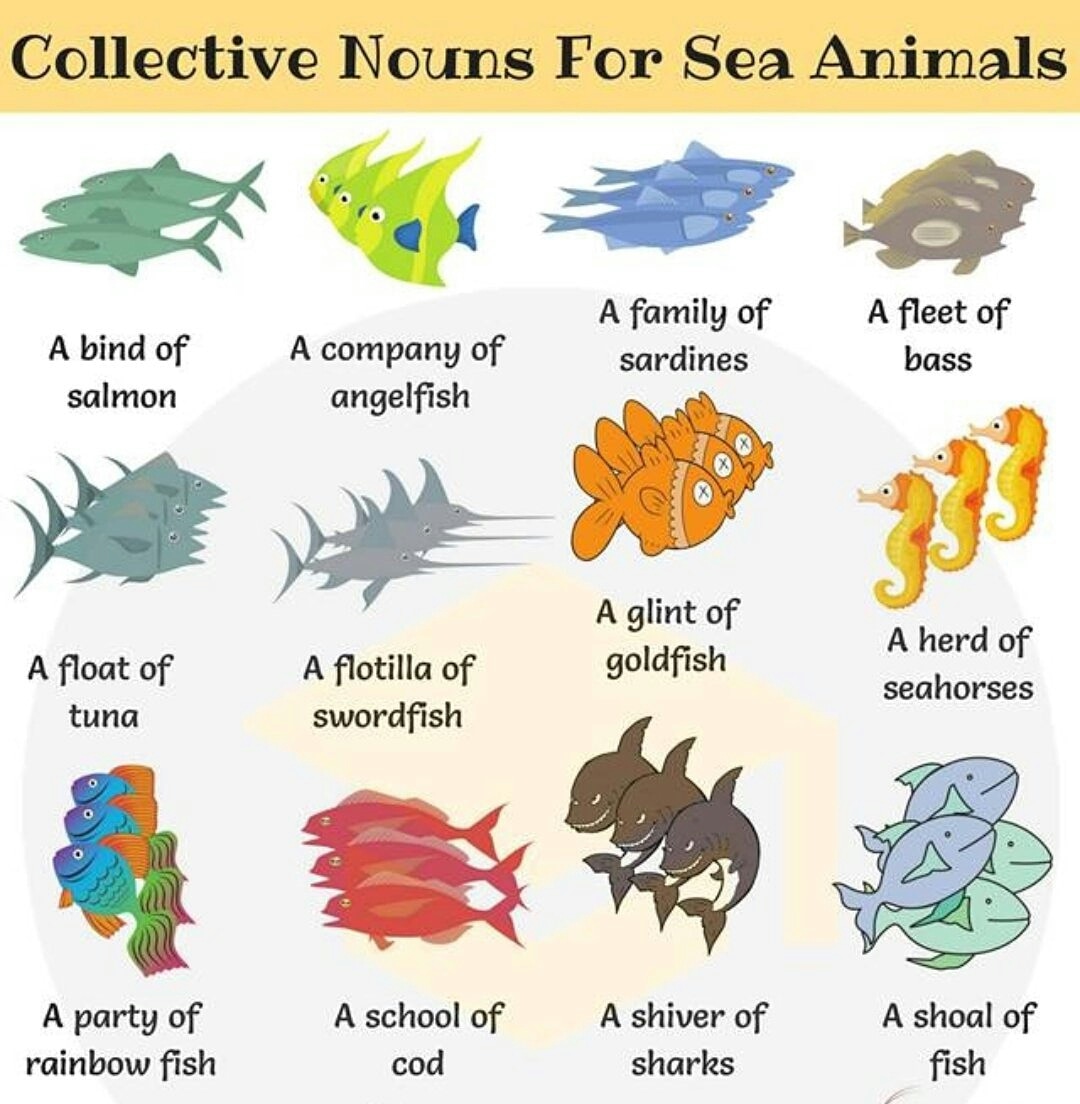 Evrenkntenglish's tweet photo. #English #englishtl #EnglishTeacher #englishkidsacademy #englishteacherfx #englishteensacademy #toefltraining #WordOfTheDay #speakenglish #ingilizce #vocab #California #kpss #AmericaMexicana #Panama #Ireland #yks #quoteoftheday #Languages #LanguageLearning #languagedevelopment https://t.co/Xtup6f0lK9