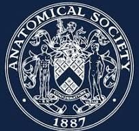 Anatomy Masterclasses Series – What classes would you want?  
The Anatomical Society Education Committee are looking to develop an online masterclass series to support members subject knowledge. Let us know your preferences for these via this short survey  buff.ly/3WcSyEH