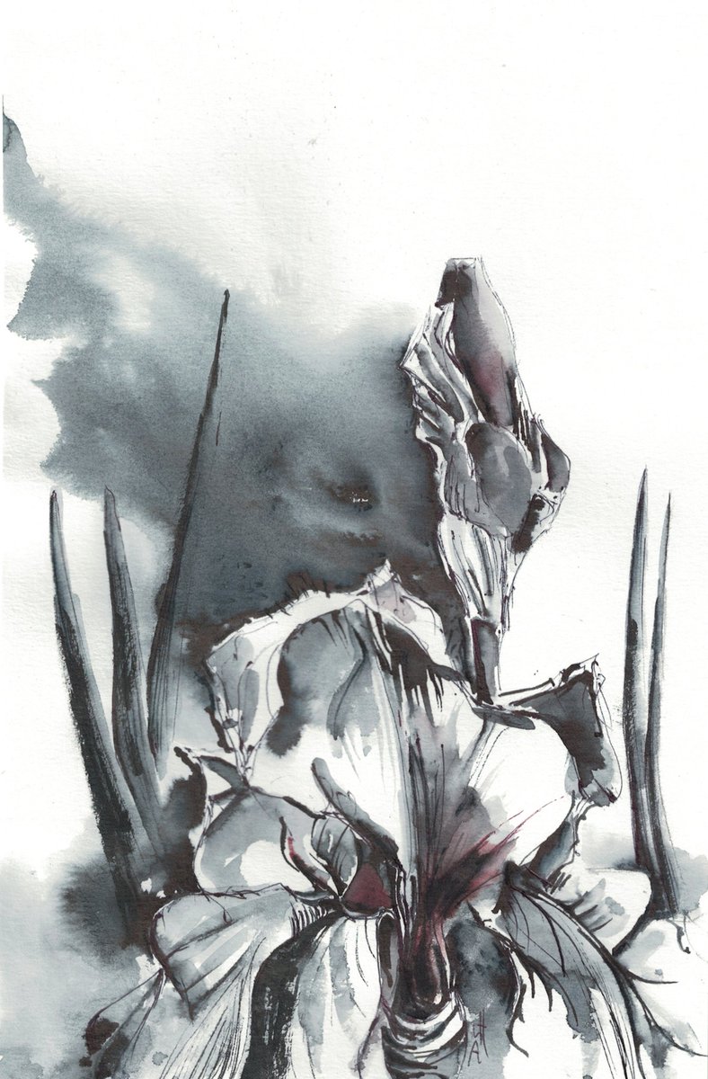 Iris #ink #Canada  🇨🇦