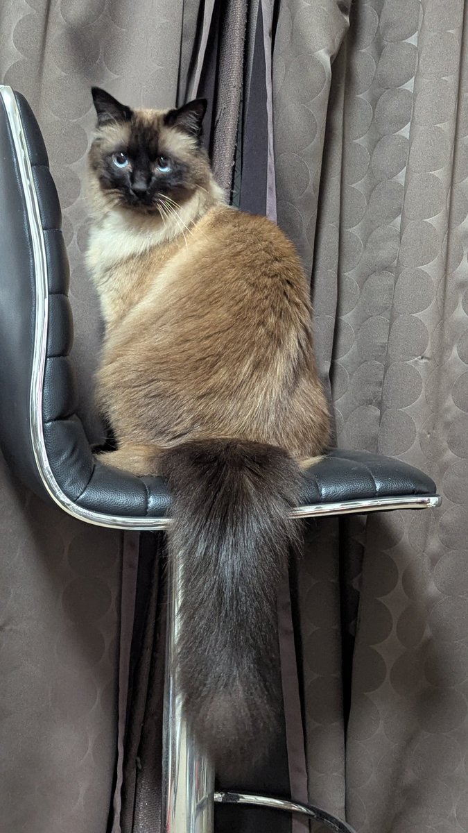 は〜い。呼んだ〜