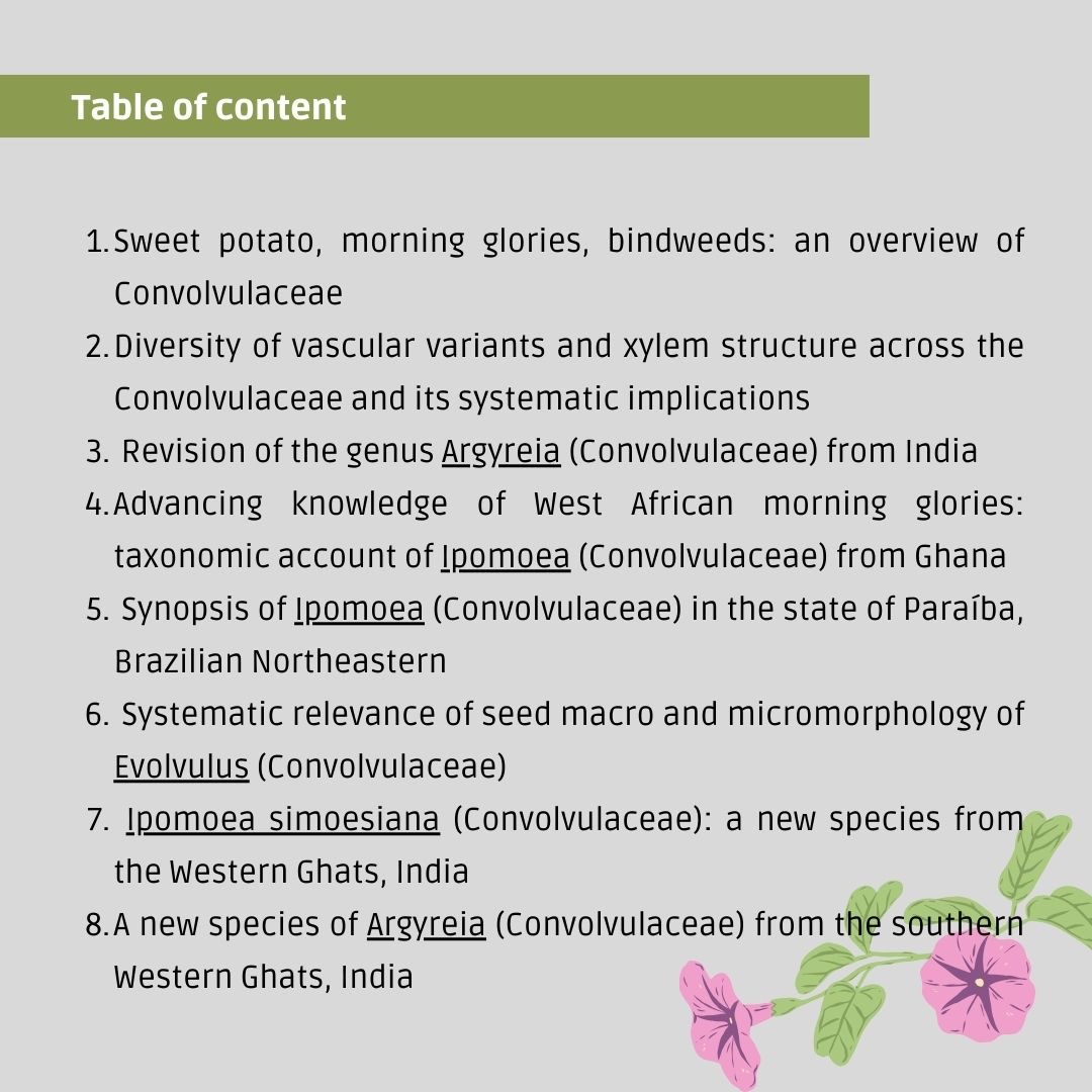 Convolvulaceae Network tweet media