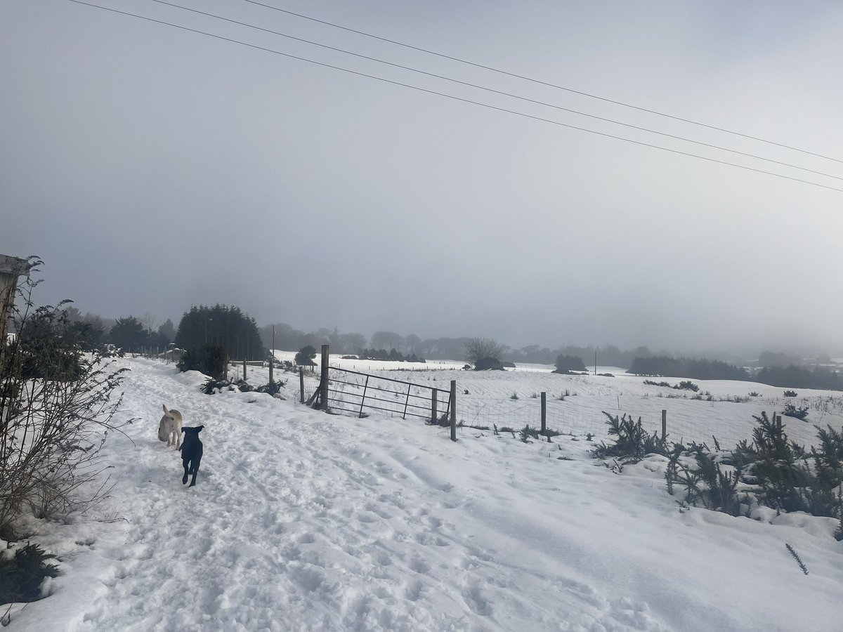 RobbbieScottt's tweet photo. @CarlowWeather Freezing fog here at Ballinastoe #Roundwood , @CarlowWeather https://t.co/OCWaPbaV3S