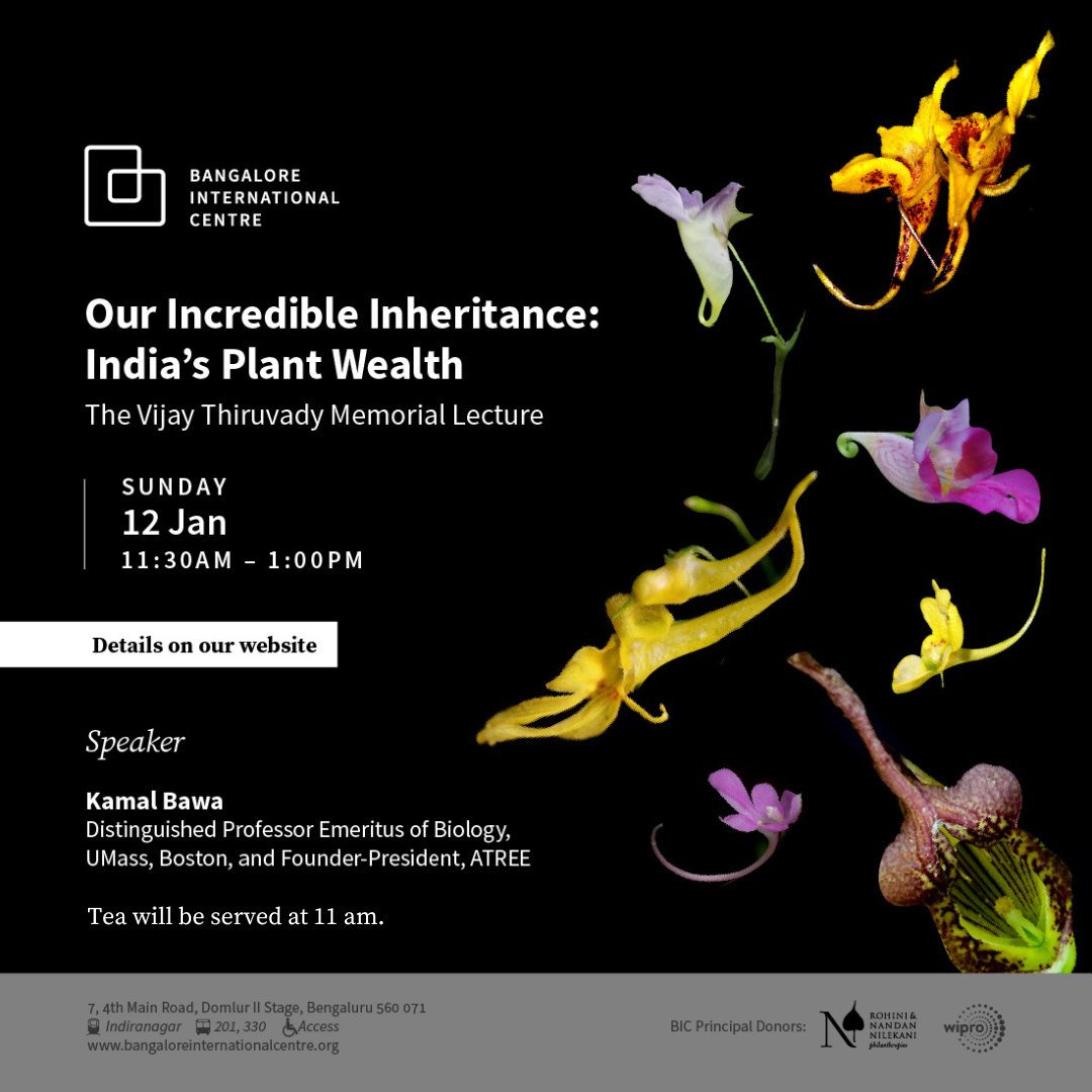 bicblr's tweet photo. Jan 12 | Sunday | 11:30am
Our Incredible Inheritance: India's Plant Wealth
The Vijay Thiruvady Memorial Lecture
The lecture will explore efforts to engage the public in conserving India’s extraordinary plant diversity.
#botony #flowers #environment #science #inmemory https://t.co/UOjkSy3WkO