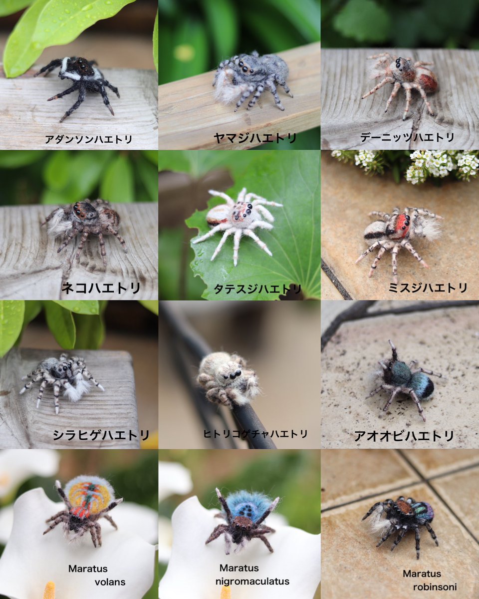 DamperRoyal's tweet photo. #欲しい人に届けニッチな作品展
羊毛の素材を活かして、もふもふでリアル可愛い蜘蛛作ってます。 https://t.co/eKMa0KSoQF
