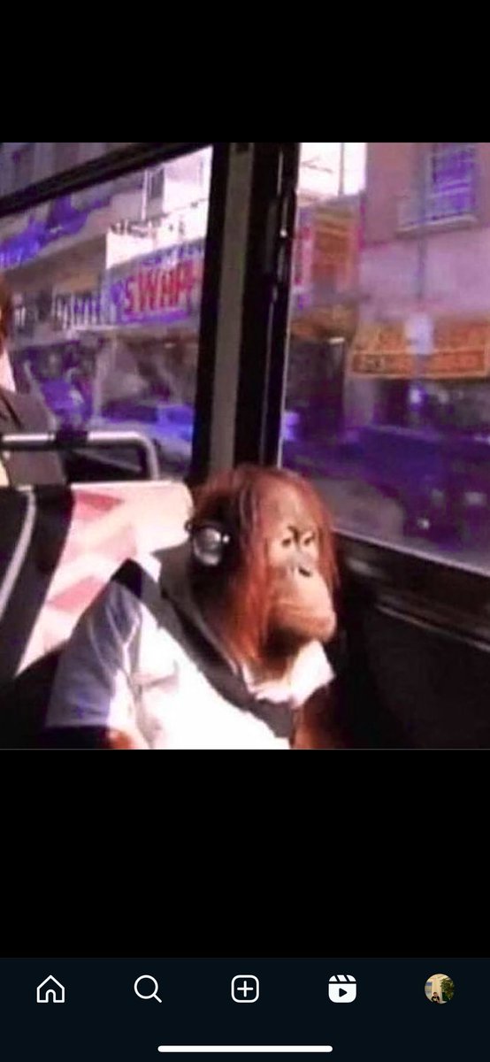 james39562964's tweet photo. Happy Thursday, to all my corporate friends… you are nearly there ! The weekend is near and I sense some mischief 😈 Keep on shining my monkeys ! @cmax223 @MatthewBarry19 @DannyTheFanny69 @WizkidThe https://t.co/VO71Ce0od1