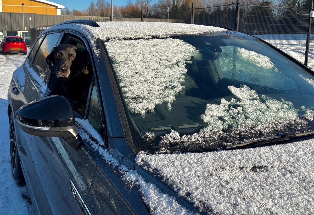 MerPolTraffic's tweet image. Can you believe it! We have just been in the yard and caught @MerPolDogs Police Dog Mo, doing exactly the same thing as he gets the cars ready for patrol. No extra treats tonight and an educational talking to from his handler!