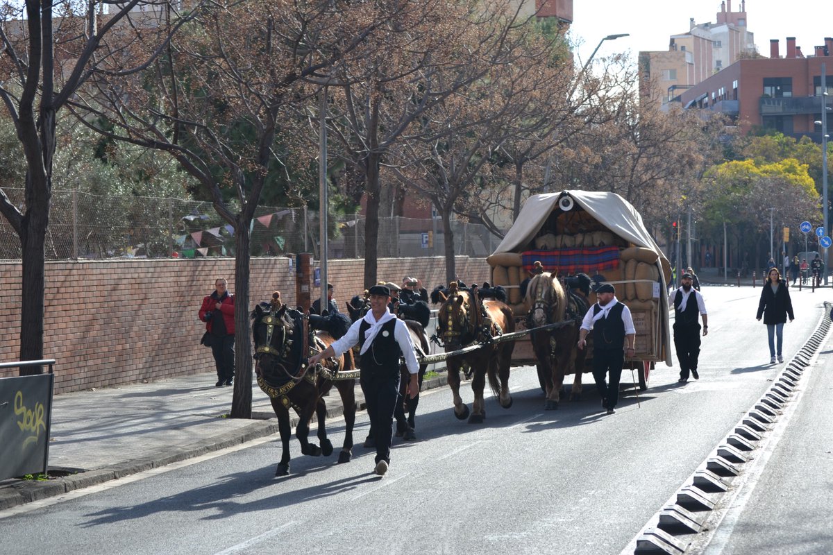 Ja arriben! 🎶
Els Tres Tombs de Sant Andreu de Palomar! 🐴🎉
🗓 El 12 de gener! 
🕙Sortida a les 11:45 h de la Plaça Can Fabra.
🕙 Benedicció dels animals a la parròquia, a les 12 h.