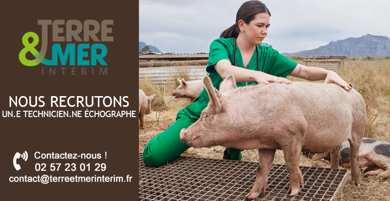 TerreMerInterim's tweet image. 📢 OFFRE D'EMPLOI
Nous recrutons un #TECHNICIEN #ECHOGRAPHE (H/F) secteur #Morbihan et sud #Finistère pour une durée de 3 MOIS.
 
Contactez-nous au 02 57 23 01 29 et envoyez votre CV à contact@terreetmerinterim.fr ou annonces-interim.bzh/terre--mer-int…
 
#Recrutement #DiversTM #offredemploi