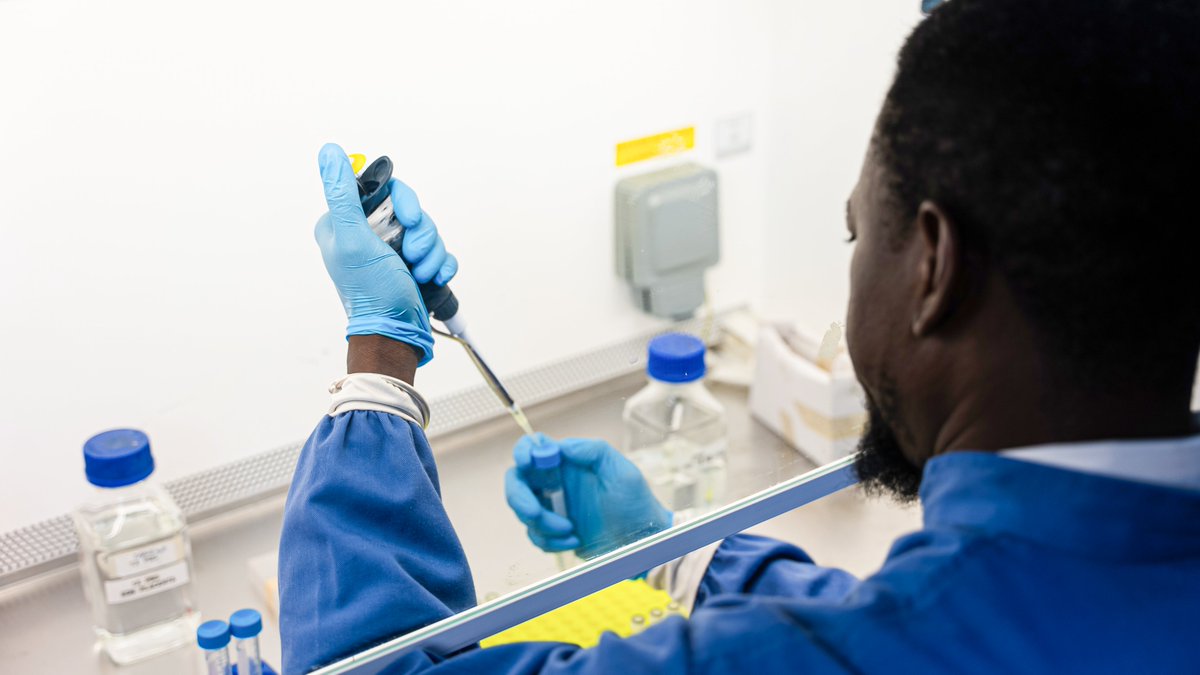 MRC Unit The Gambia at LSHTM (@mrcunitgambia) on Twitter photo We are pleased to announce receipt of £1.04M from <a href="/UKRI_News/">UK Research and Innovation</a> to <a href="/TogunToyin/">Toyin Togun, PhD FFPH</a>, Co-Director of <a href="/LSHTM_TB/">LSHTM TB Centre</a> & researchers <a href="/mrcunitgambia/">MRC Unit The Gambia at LSHTM</a> to validate a novel biosignature that promises to redefine the diagnosis of #TB in children.
More👉tinyurl.com/3cm6d5dp
#Globalhealth
#EndTB We are pleased to announce receipt of £1.04M from <a href="/UKRI_News/">UK Research and Innovation</a> to <a href="/TogunToyin/">Toyin Togun, PhD FFPH</a>, Co-Director of <a href="/LSHTM_TB/">LSHTM TB Centre</a> & researchers <a href="/mrcunitgambia/">MRC Unit The Gambia at LSHTM</a> to validate a novel biosignature that promises to redefine the diagnosis of #TB in children.
More👉tinyurl.com/3cm6d5dp
#Globalhealth
#EndTB