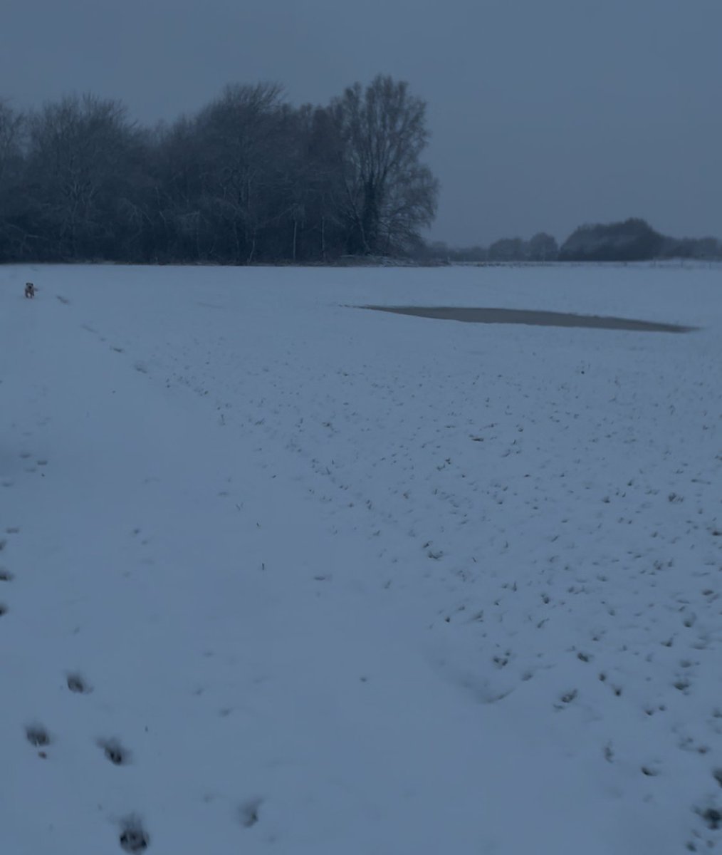 What a start it has been to 2025 with this weather! There have been floods, then snow, then more floods, followed by more snow. Current scenes at IrriSmart HQ👇
We hope you're all keeping safe and well.