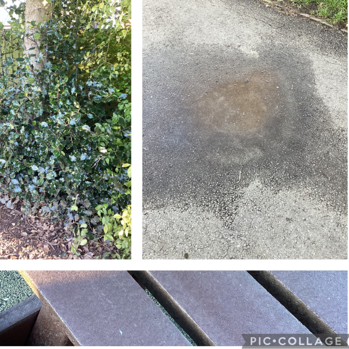 WyvernPrimary's tweet image. F2 had a very cold winter walk. We learnt about the signs of winter. #EYFS #EYFSscience #understandingtheworld #science #outsidescene