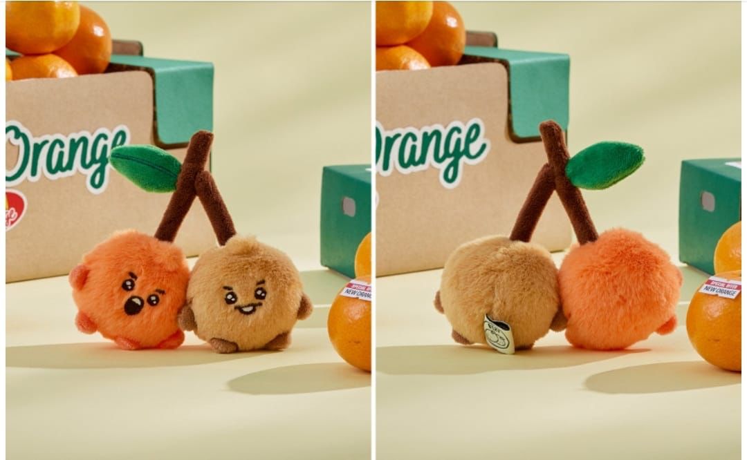 gamoclyshop's tweet photo. {OPEN PO}
BT21 Doll Orange Series 
💸325K DP 200K
Est 350gr

[Harga est, bisa naik-turun sesuai berat produk]
✅EMS+TAX ✅PACKING ✅Pelunasan via Shopee
wa : 08973179567
📍Tuban, Jawa Timur🇮🇩

#BT21 #bt21doll #WTS #WTT #WTB https://t.co/EWDBbxkxV2