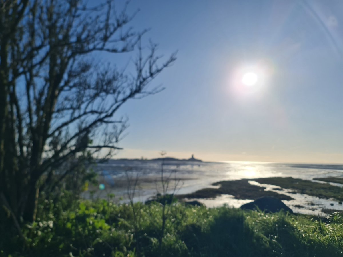 MyriamDenielTer's tweet photo. Récréation sportive 🏃‍♀️#cotentinunique https://t.co/nM1j1ifliu