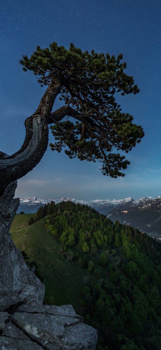 ᅠ ᅠ (@greendreaams) on Twitter photo 