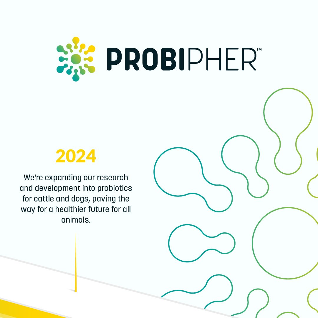 🌟 Celebrating Our Journey at Probipher!

Timeline:

- 2015: Research on chicken probiotics begins
- 2018: ProbiGal developed
- 2020: Probipher founded
- 2023: Regulatory approval
- 2024: Expanding R&amp;D other animals!

Join us in shaping the future of agriculture! #Probipher