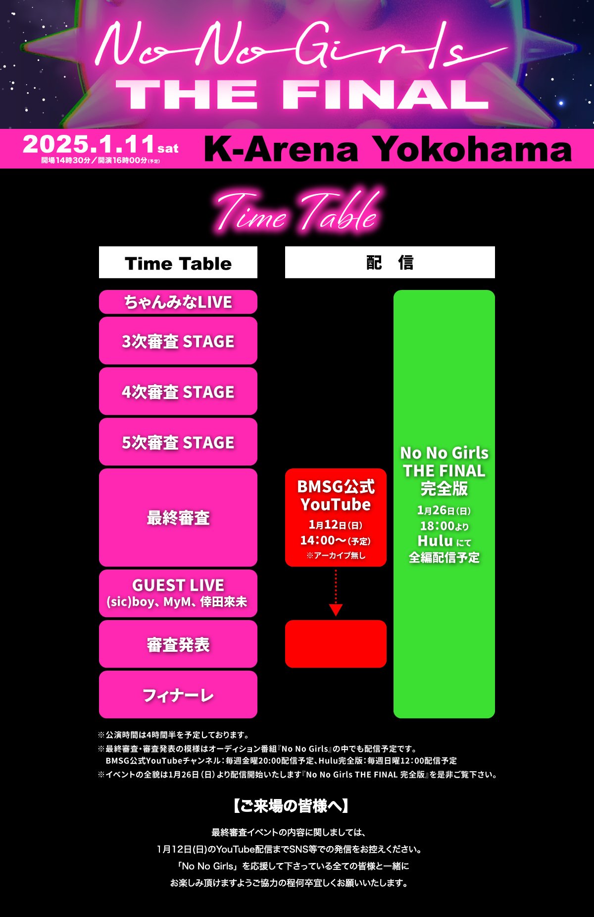 No No Girls 取り外せれ THE FINAL ノノガ タオル No No Girls 取り外せれ THE FINAL ノノガ タオル