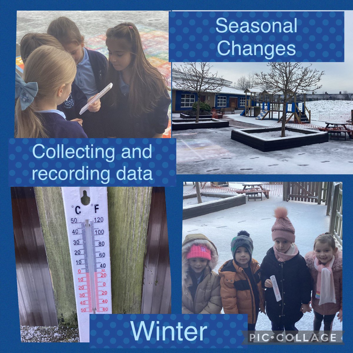 Super Scientists in Year One this week - recording and collecting data! Wow look at the minus temperature today! #StocktonWoodScience