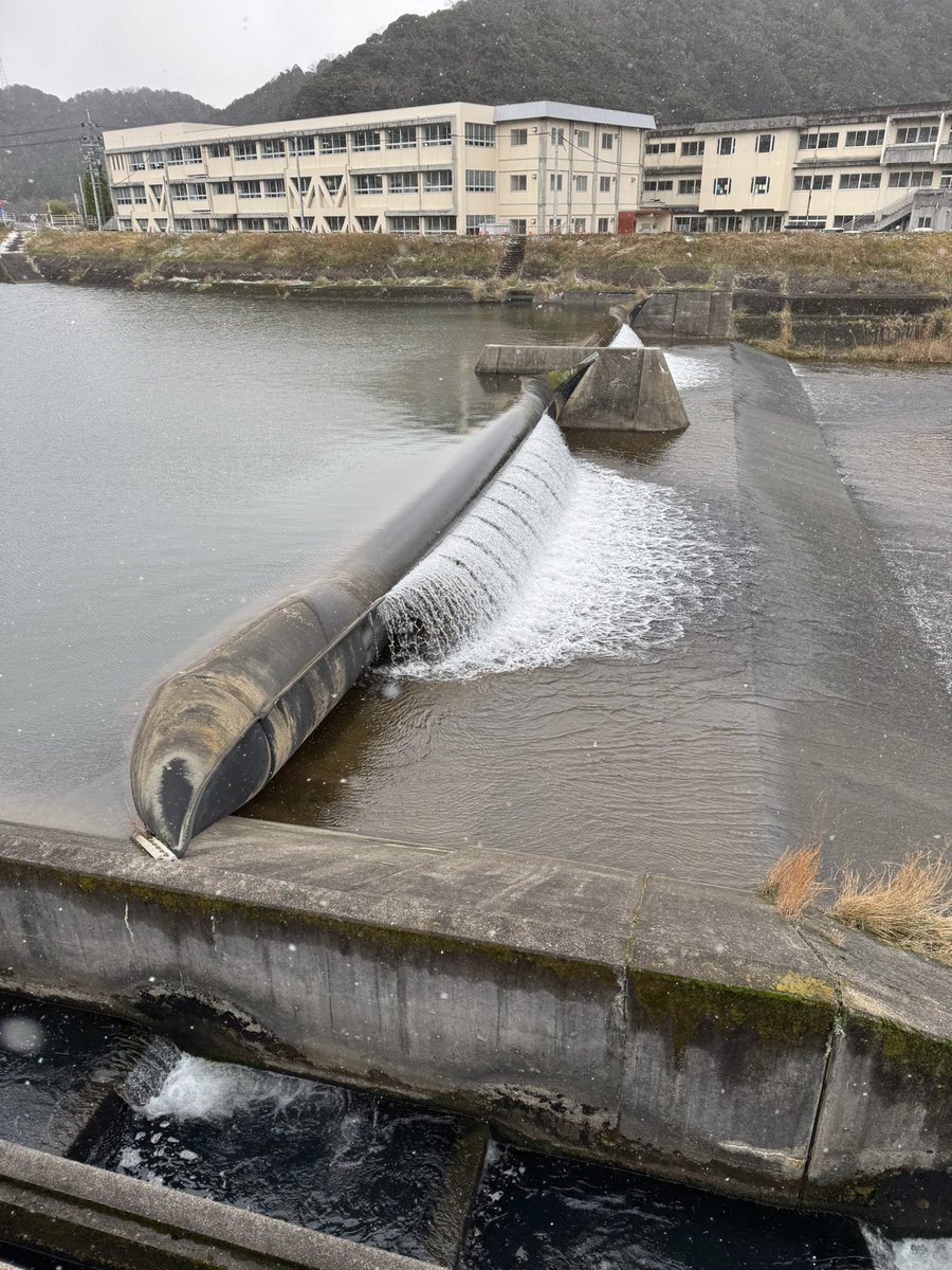 端部がムニュっとしてエロかわいい堰に遭遇