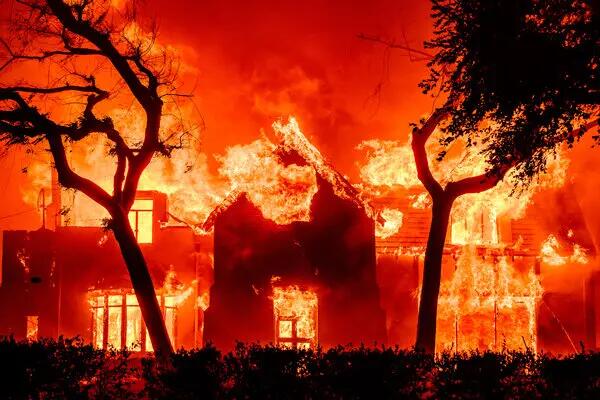 AnnaOnlyL's tweet image. May every rose in Los Angeles be illuminated by love and light, and may every heart find the power to heal.#LA #lafires  #LasVegas #hollywoodhillsfire #Hollywood #hollywoodfires