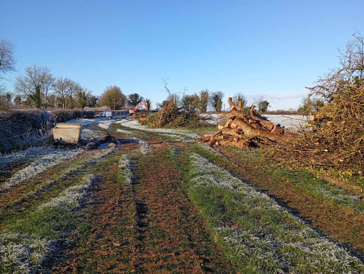 Joe Healy tweet media