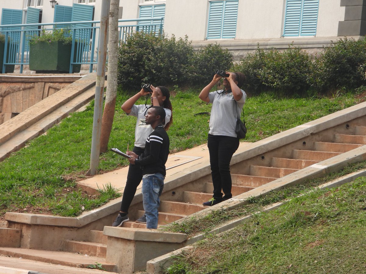 NatureUganda_'s tweet photo. 🌍🐦 Today, we monitored bird populations around Makerere University, one of our urban sites! 🌿 Recorded 33 species, including Marabou Stork chicks in their breeding season. Highlights: Hadada Ibis &amp; Marabou Storks! #BirdConservation #NatureUganda #UrbanBiodiversity

📸👇 https://t.co/FoXPCUeZcx