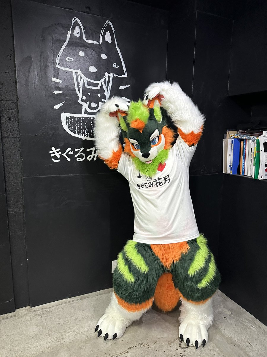 森丸回老家
📷<a href="/Zlueagle/">游狼 Zlue (ゼル)🔜Infurnity2025</a> 
感謝老爸讓我們去參觀<a href="/kigurumikagetsu/">きぐるみ花月/Kigurumi Kagetsu</a>