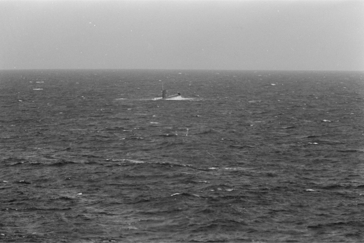 Natuurorganisaties willen dat overheid ingrijpt om vernieling van de Doggersbank te voorkomen bnnvara.nl/joop/artikelen…