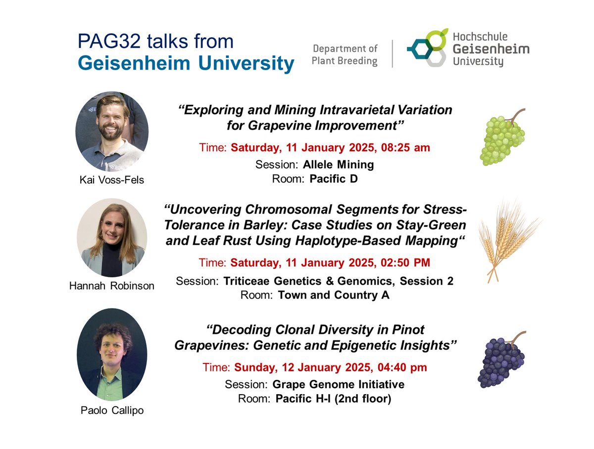 Kai Voss-Fels (@kaiv_f) on Twitter photo Very excited to travel to PAG32 soon & hear the latest about the incredible science happening in our field! 🌱🧬 Also thrilled that my team is contributing three exciting talks on genetics & genomics in grapevine & barley. Hoping to see many of you in San Diego soon!
<a href="/PAGmeeting/">PAG-International Plant & Animal Genome Conference</a> Very excited to travel to PAG32 soon & hear the latest about the incredible science happening in our field! 🌱🧬 Also thrilled that my team is contributing three exciting talks on genetics & genomics in grapevine & barley. Hoping to see many of you in San Diego soon!
<a href="/PAGmeeting/">PAG-International Plant & Animal Genome Conference</a>