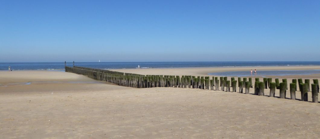 Reisblog Davides & Onontdekt Nederland tweet media