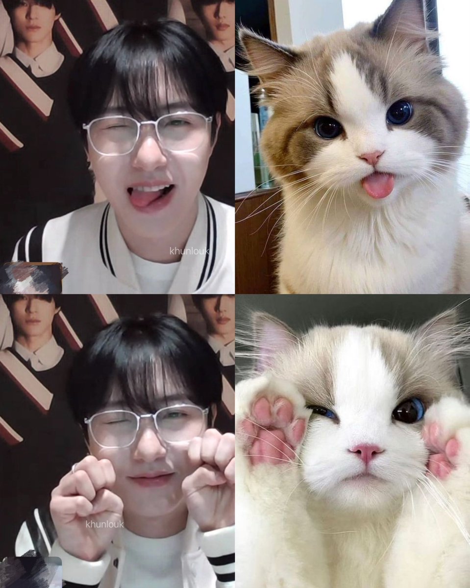 มู่ ♡ tweet media