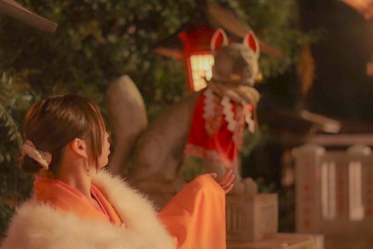 お狐様の導き(自前着物参拝にて) #一眼レフ  #ポートレート #スマホでポートレート #フリーモデル #被体になります #カメラマンさんと繋がりたい  #写真好きな人と繋がりたい #写真撮ってる人と繋がりたい #お写んぽ #人像撮影 #撮影依頼募集中 #キリトリセカイ #ファインダー越しの私  #お正月