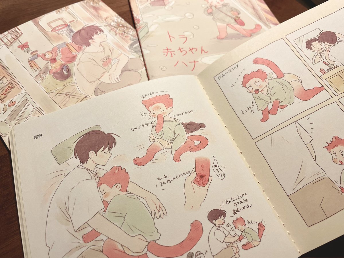 🐯日本語に翻訳したトラ赤ちゃんハナ 本を販売します！
本は製作完了しました！
たくさんの関心お願いします！🩵🩷