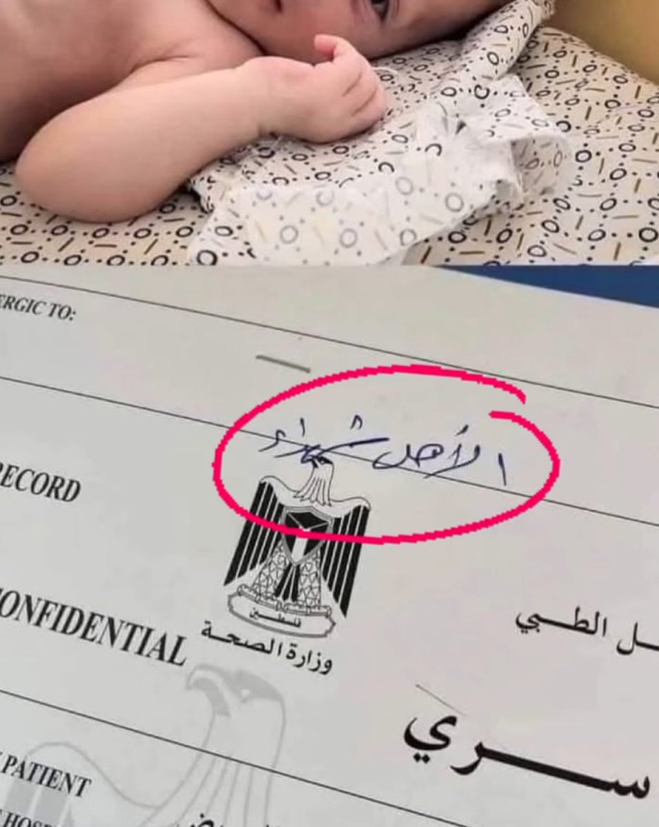 gazanotice's tweet photo. 🚨Wounded Infant in Gaza with Medical File Next to Him Stating: “Entire Family Killed” https://t.co/vnC1bYkYHh