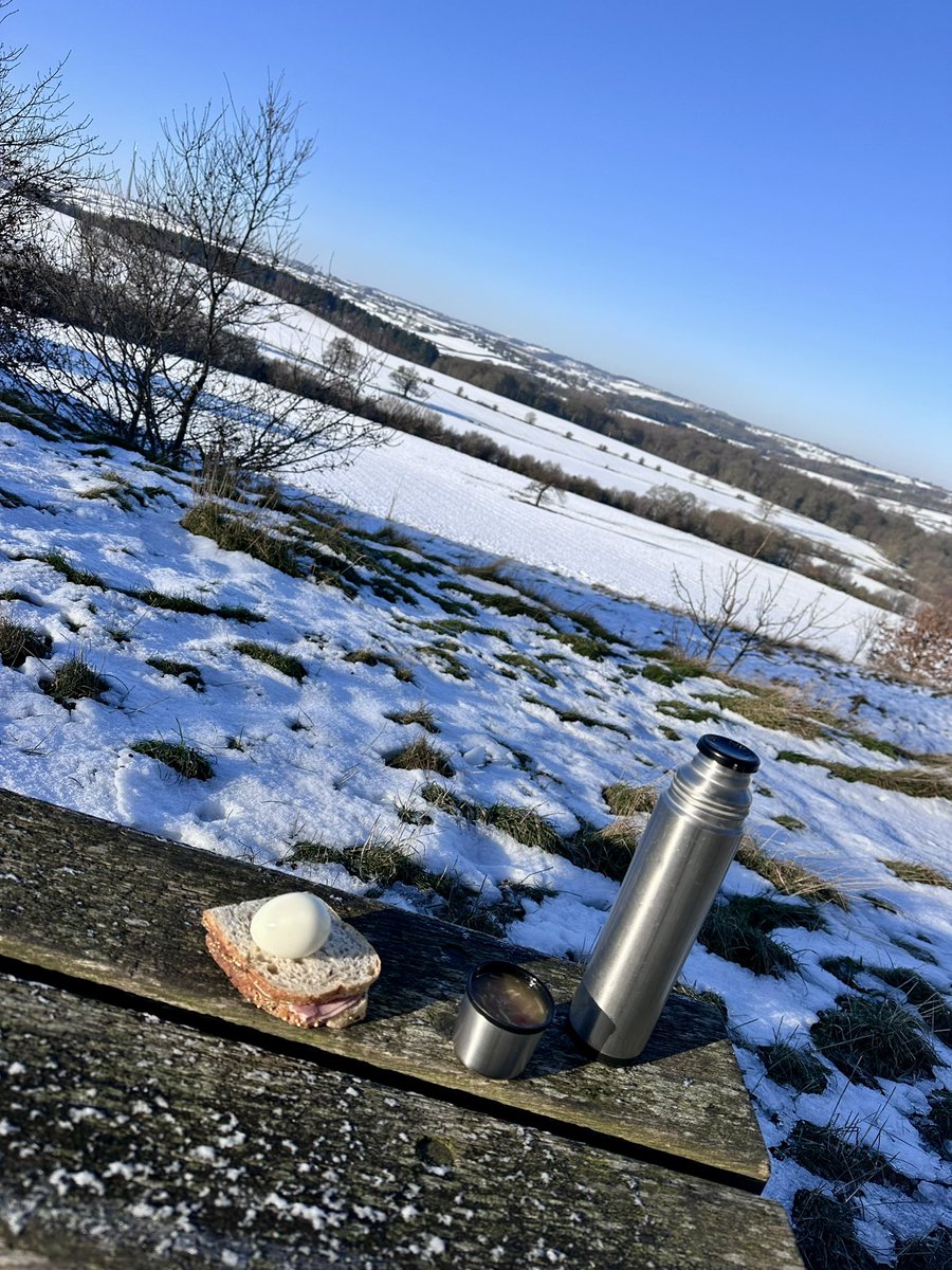 4NHG's tweet photo. There may be warmer places to have your picnic lunch, but there aren’t many better than @YSPsculpture 👍 https://t.co/TaP1tNUPU8