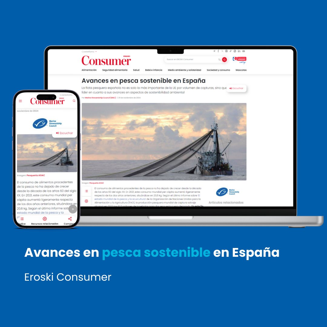 🐟🐙 ¡La #PescaSostenible en España es más diversa de lo que crees! Desde la #Anchoa del Cantábrico hasta la #GambaRoja del Mediterráneo. Lee el artículo de <a href="/eroskiconsumer/">Consumer EROSKI. Consumidores bien informados.</a> para saber más sobre los avances en #PescaSostenible en España.
🆕  bit.ly/3ZMntc3
#SelloAzul