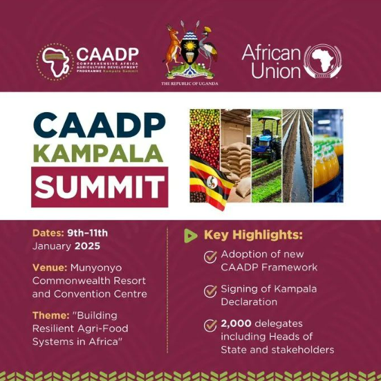 FAOAfrica's tweet photo. #CAADPKampala25 is underway! 

FAO is proud to partner with the @_AfricanUnion,  including contributing to drafting the new framework on transforming Africa’s agrifood systems.

#CAADPKampala25 is a vision for building more sustainable &amp; resilient agrifood systems. https://t.co/1wTQkjhKEZ