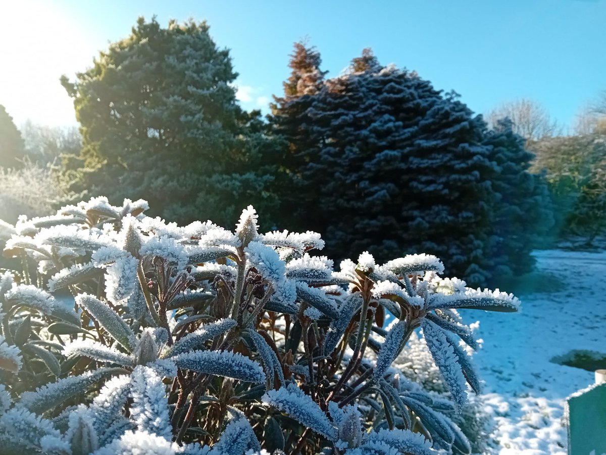 Beautiful #coastalkippford #kippfordholidaypark with its twinkling covering of snow.