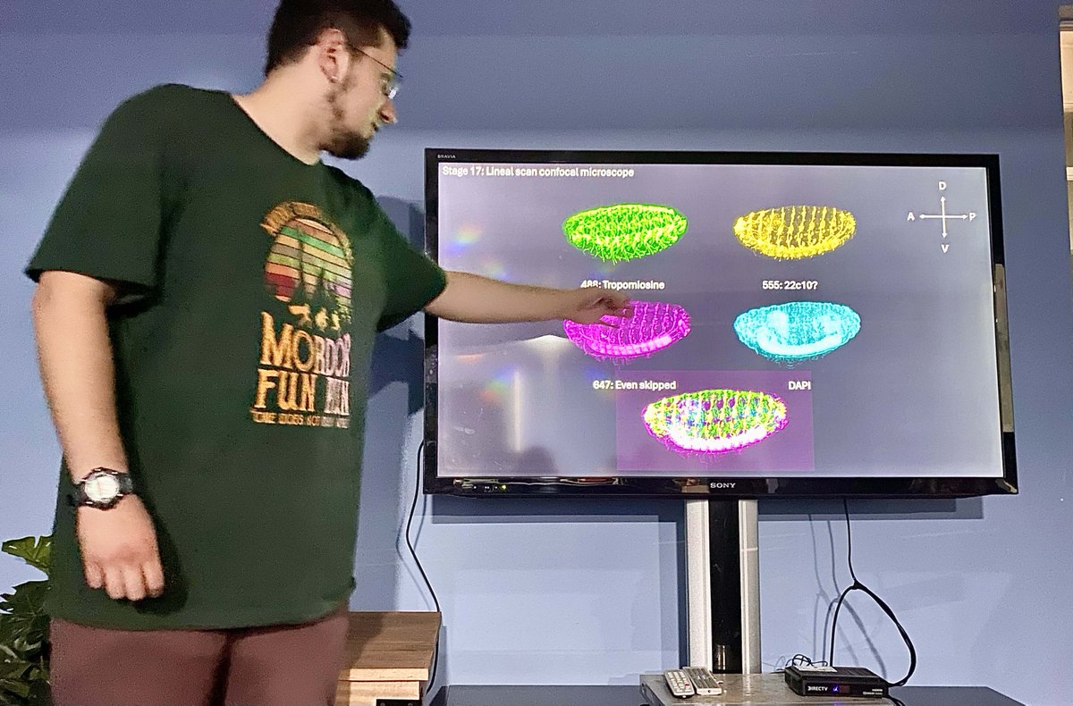 mayor_lab's tweet image. Spectacular finale of the Drosophila lab at @EMBO #DevBiol course in Quintay, Chile! Students shared insights, supported by stunning images they captured—guided by Nipam Patel, @MBLScience Director, and supported by Mathew Parent from @MBLScience. #ScienceEducation