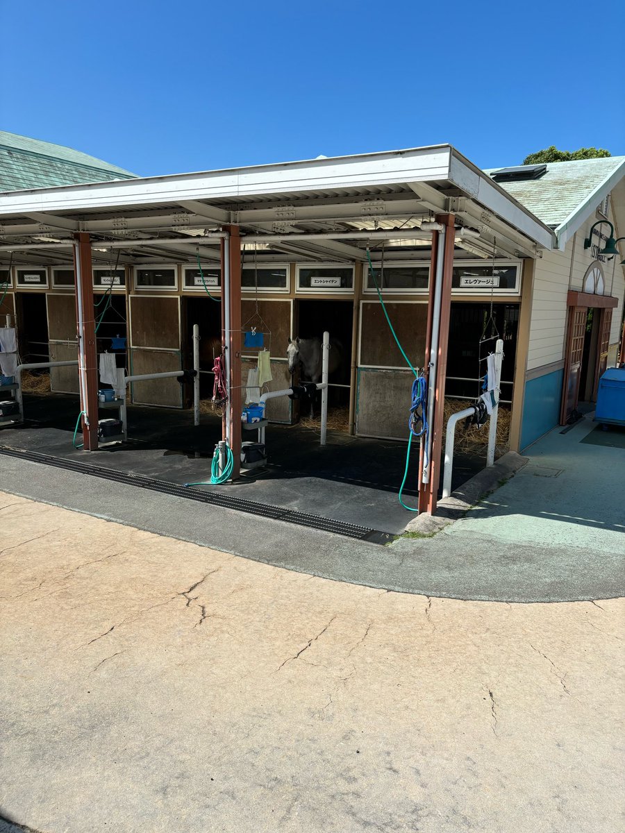 mozu_gonta's tweet photo. @sugi_ikketu 小倉にはエントシャイデンもいるのでアイスバブルのついでにどうぞ🥺 https://t.co/OXRmZMNWLs